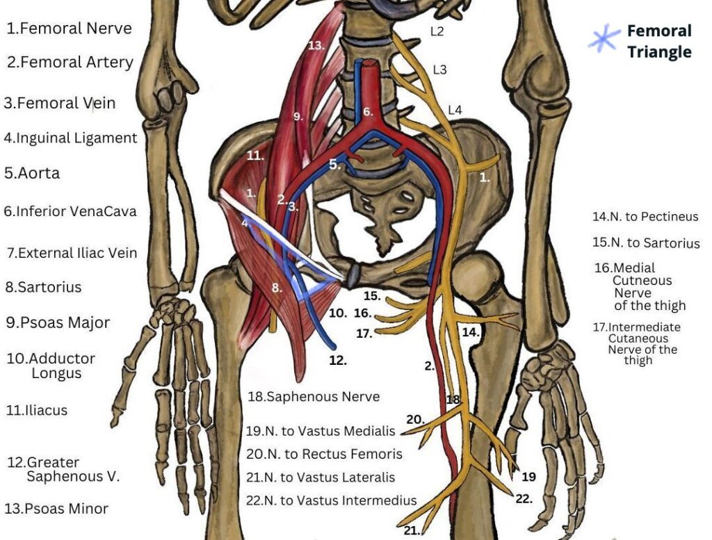 What Does a Pinched Nerve Feel Like?