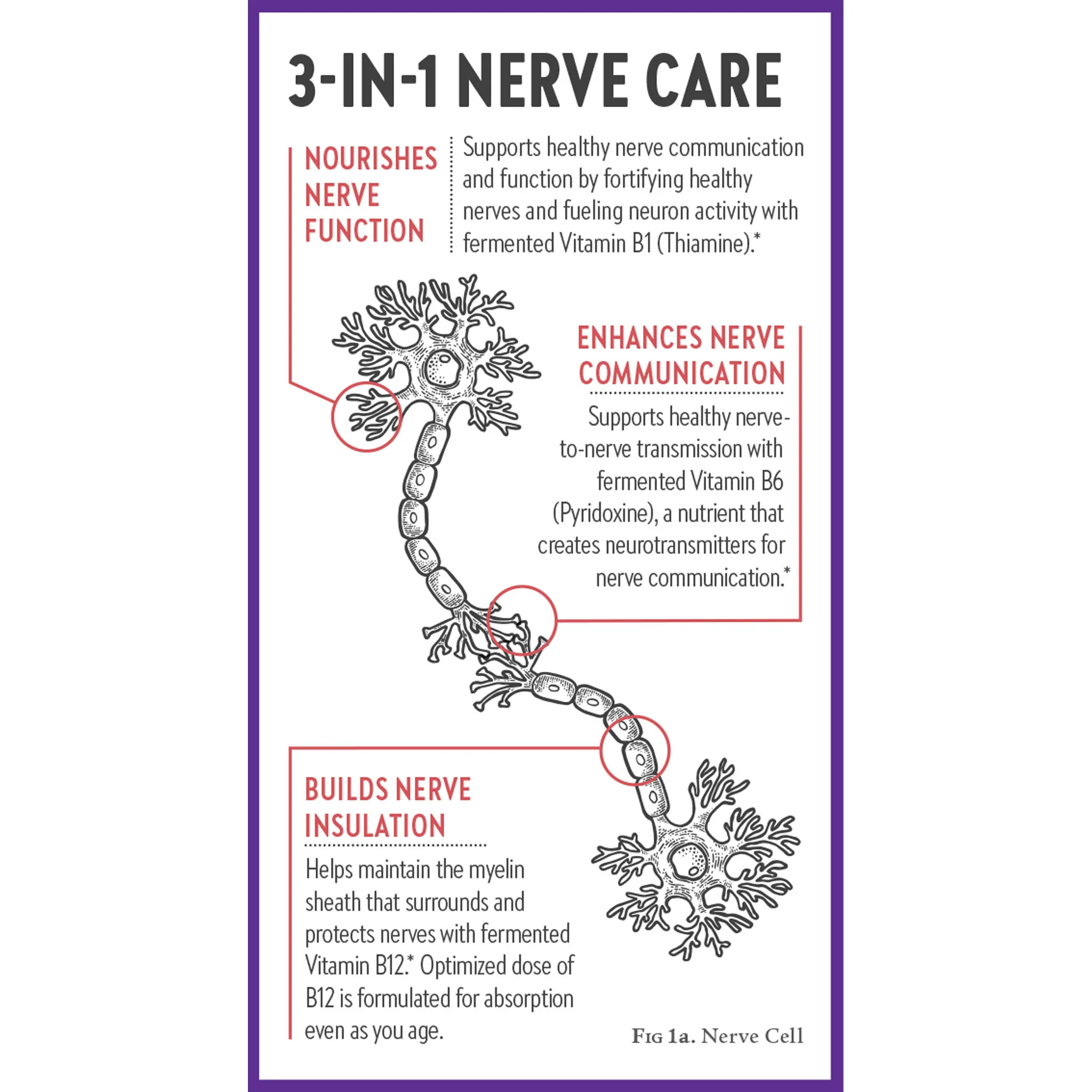 Understanding Peripheral Neuropathy and Its Causes