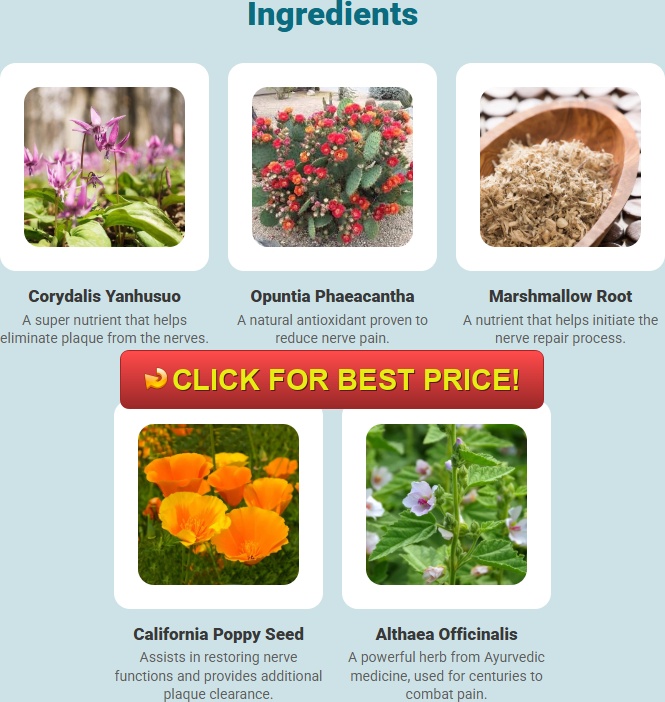 Calm Pro 5 Reviews: Natural Health Expert's Take on Nerve Calm Side Effects